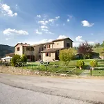 Pugnano Alto- Girasole *