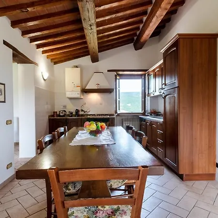 Pugnano Alto- Girasole *