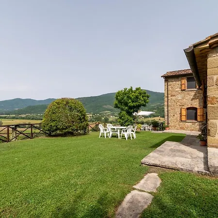 Pugnano Alto- Girasole * Lisciano Niccone