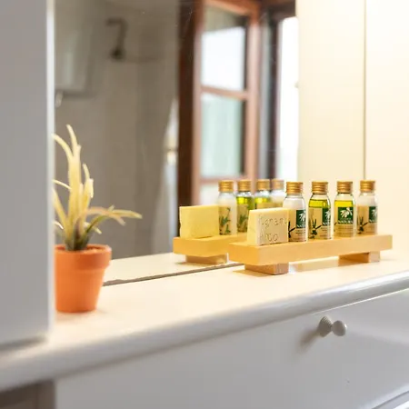 Pugnano Alto- Girasole *