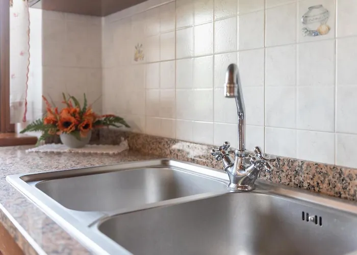 Pugnano Alto- Girasole * Lisciano Niccone